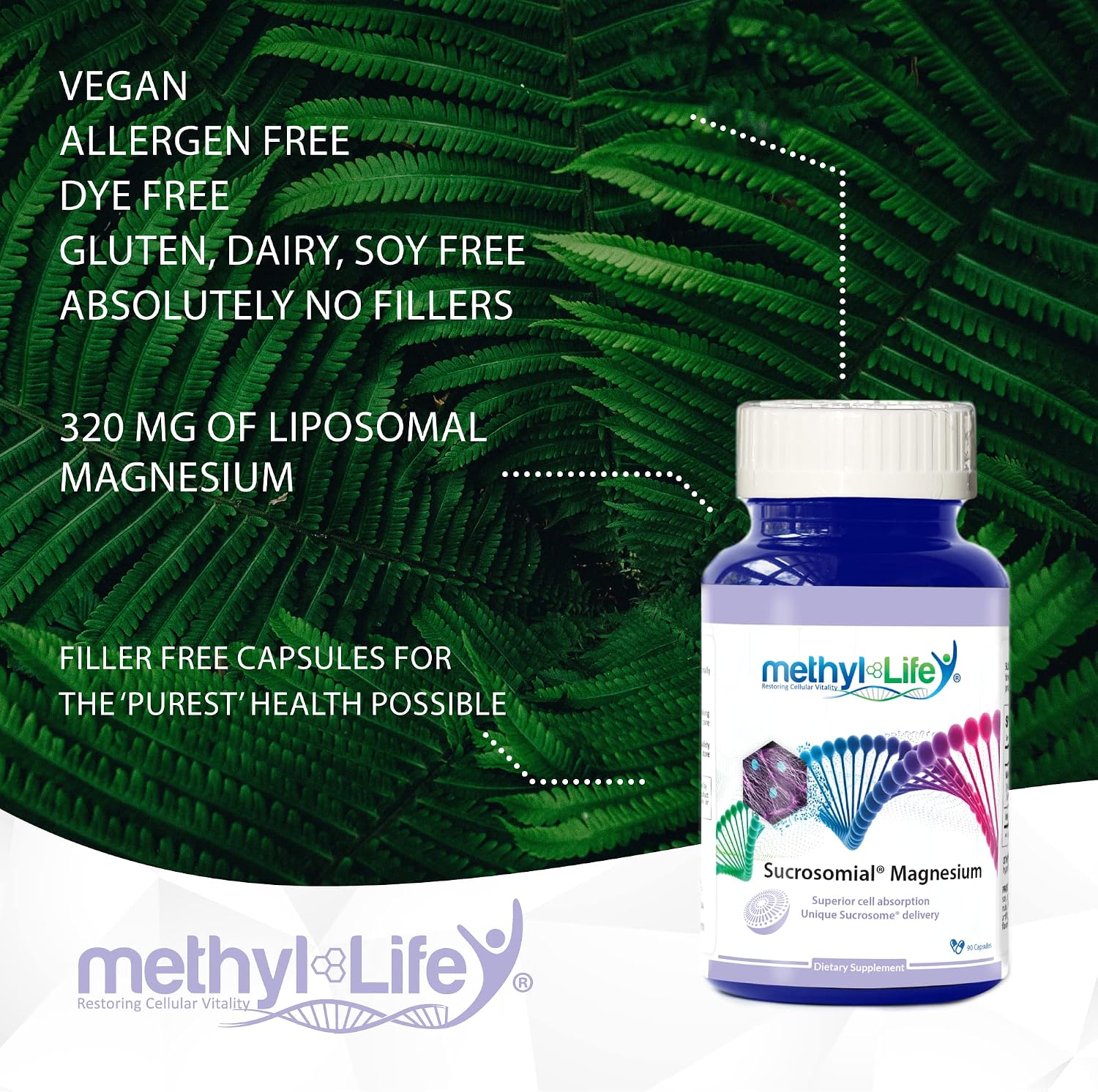 Methyl Life Sucrosomial Magnesium - Bioactive Magnesium for Optimum Cellular Absorption - 90 320 mg Capsules