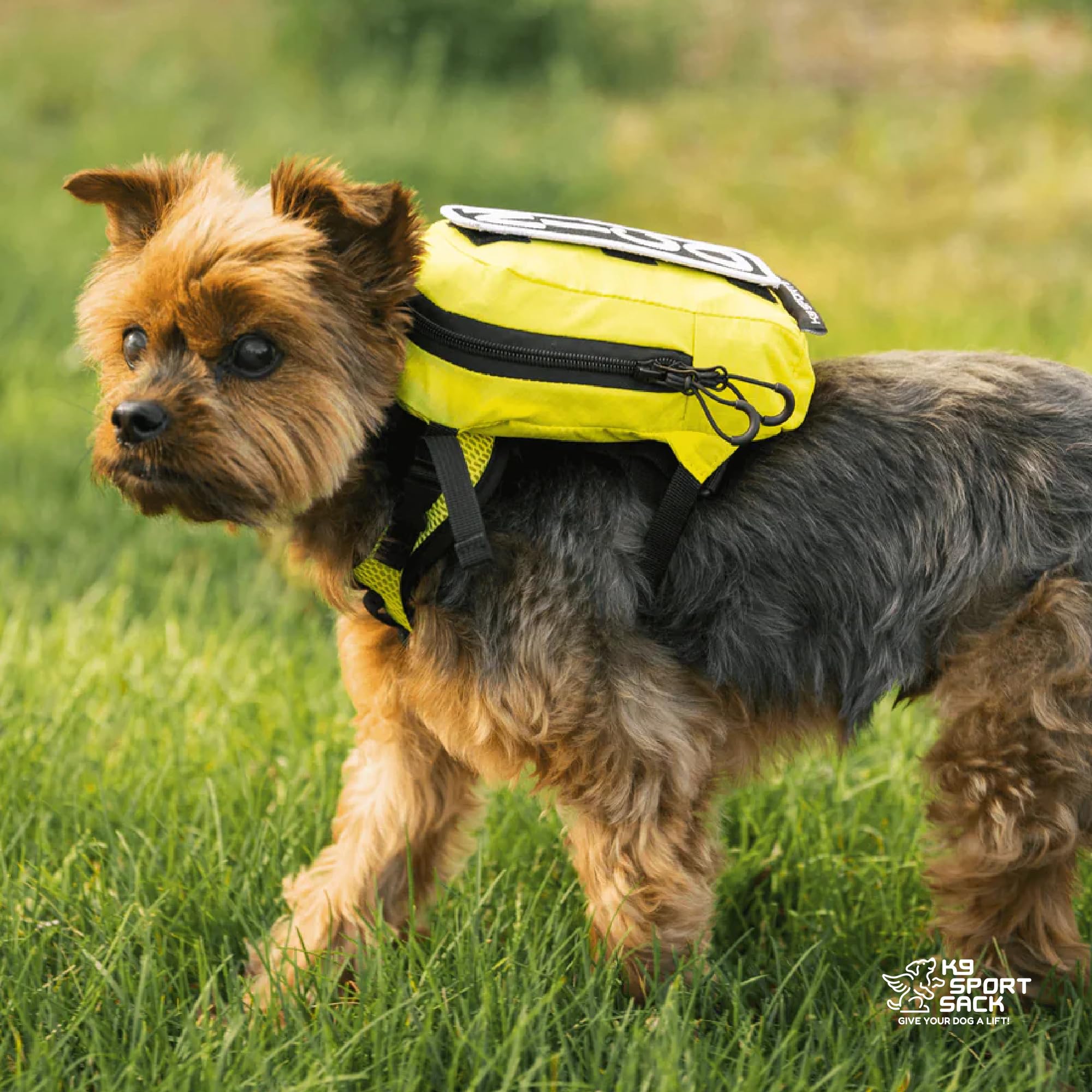 Amazon.com : K9 Sport Sack Walk-On - Medium, Anthracite