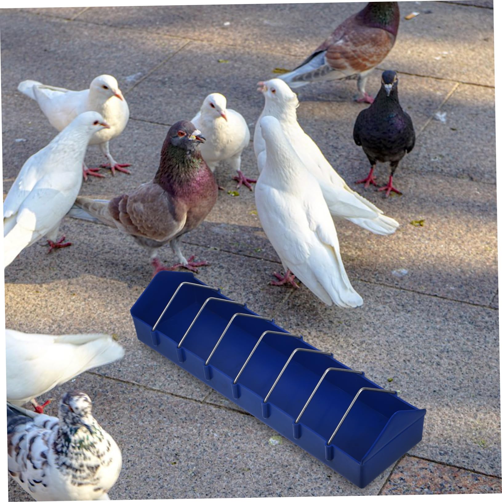 Bird Feeder Plastic Slot Storage Trough Bird Food Dispenser Feeding Dish Container Pigeon Supplies 40cm for Bird Animals Pigeon Feeder