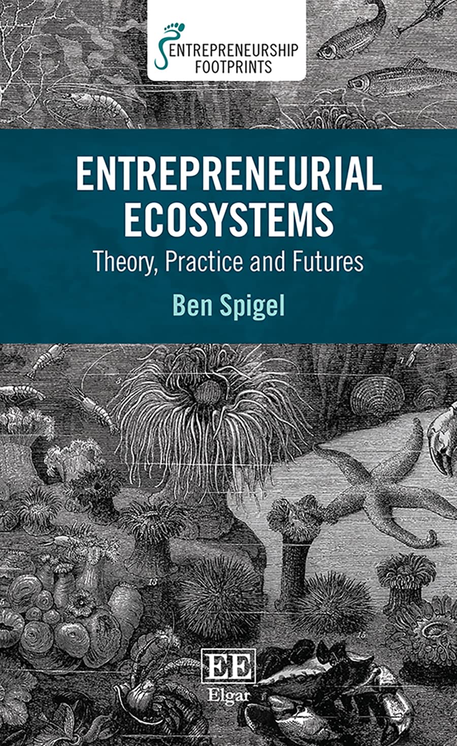Entrepreneurial Ecosystems: Theory, Practice and Futures (Entrepreneurship Footprints series)