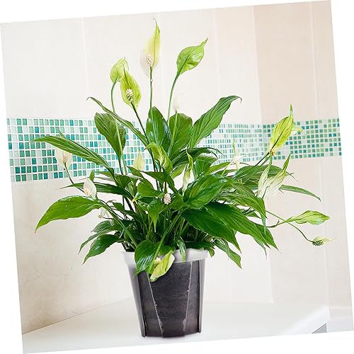 Miniatura 7 de Yardwe Paquete de 2 macetas de plástico para interiores para suculentas y cactus de fácil visualización para decoración de oficina en casa