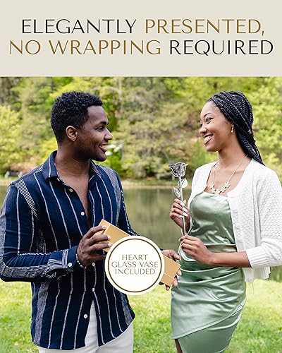 Miniatura 4 de Forever Rose Combo de jarrón de corazón acrílico con dos rosas reales cuidadosamente sumergidas en platino, un regalo eterno, atemporal, único,