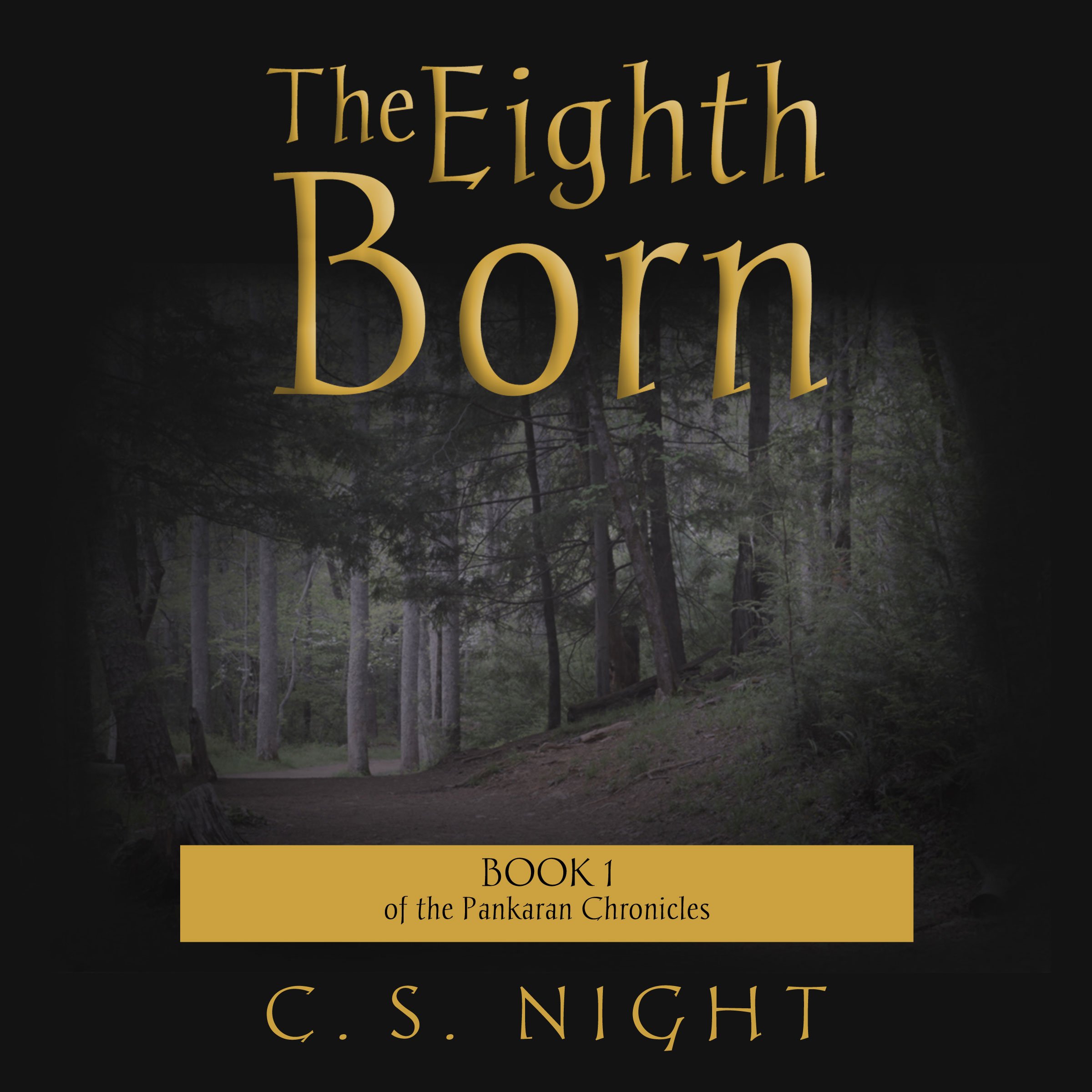 Cover art for The Eighth Born