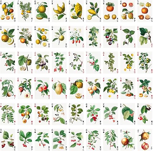 Miniatura 18 de Amazing Wild Birds Playing Cards (Poker Deck 54 Cards All Different) Wild Birds of Pray Museum Painting by Archibald Thorburn Vintage Art