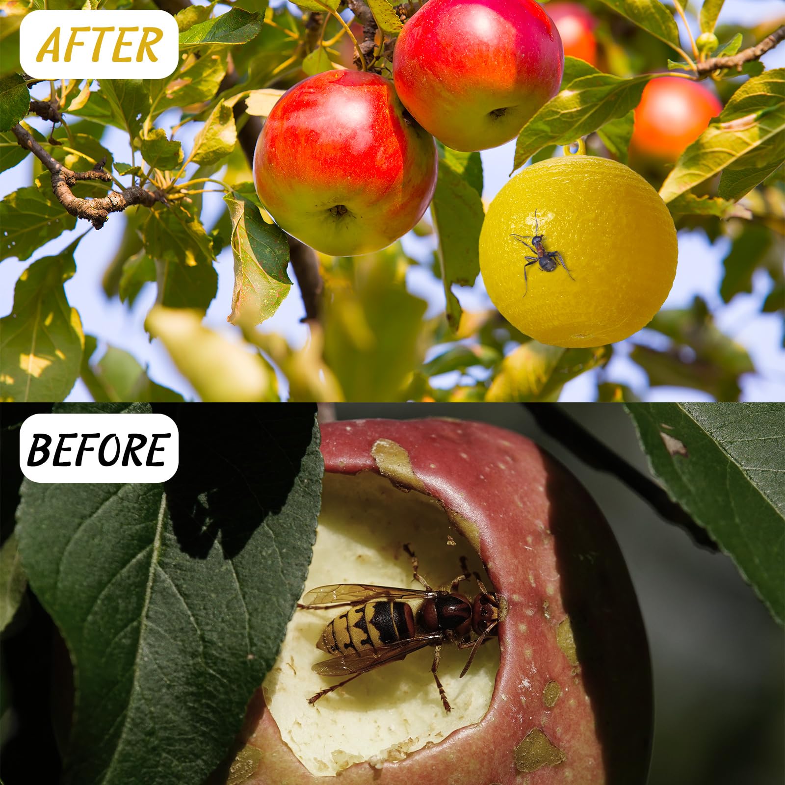 Qualirey 10 bolas adhesivas para atrapar moscas de la fruta, bola adhesiva para atrapar moscas, moscas, mosquitos, avispas, insectos, insectos voladores, trampas de bolas de trampa (amarillo)