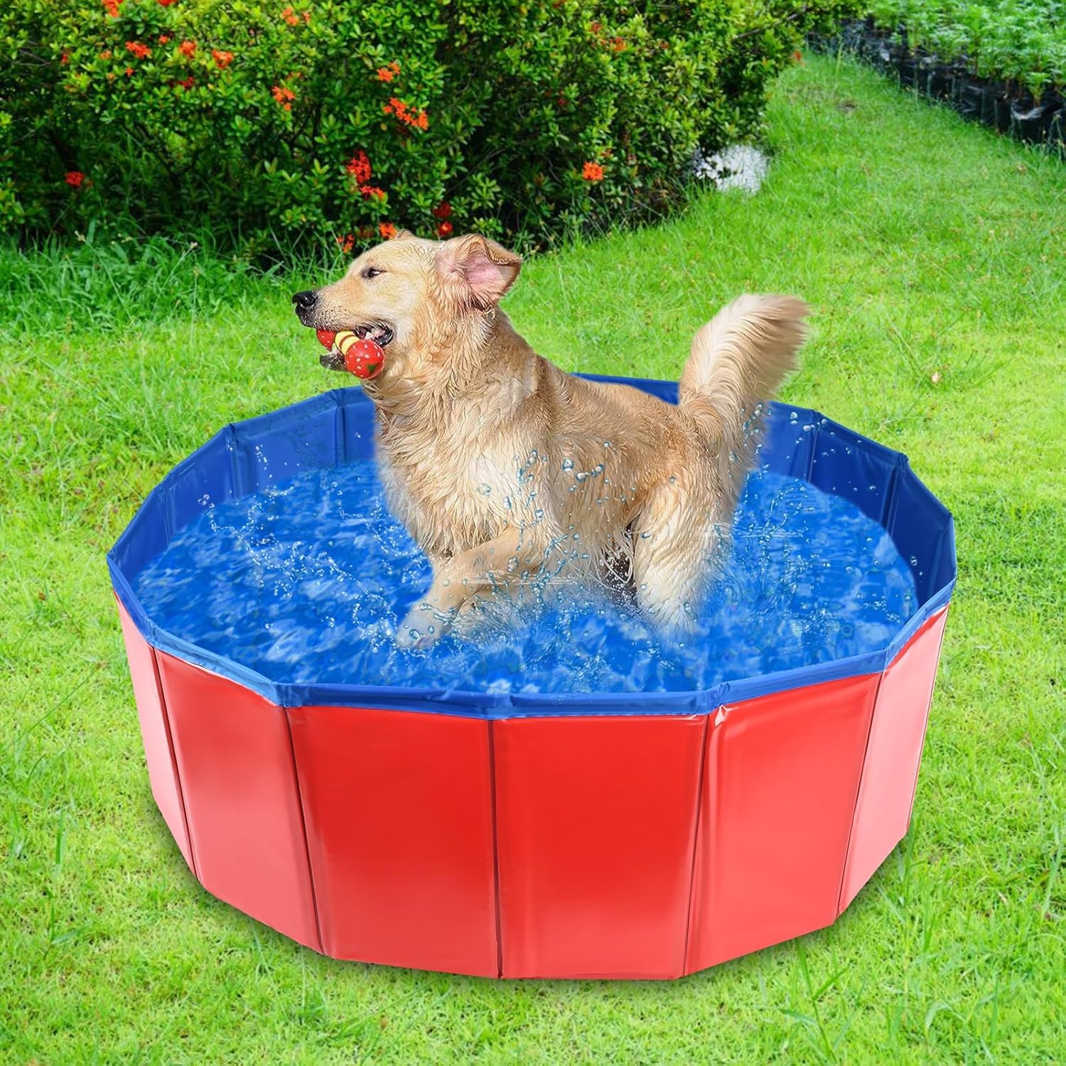 Piscina plegable para perros, 60 x 20 cm, bañera plegable para mascotas, piscina antideslizante de PVC para perros, gatos y niños, interior y exterior