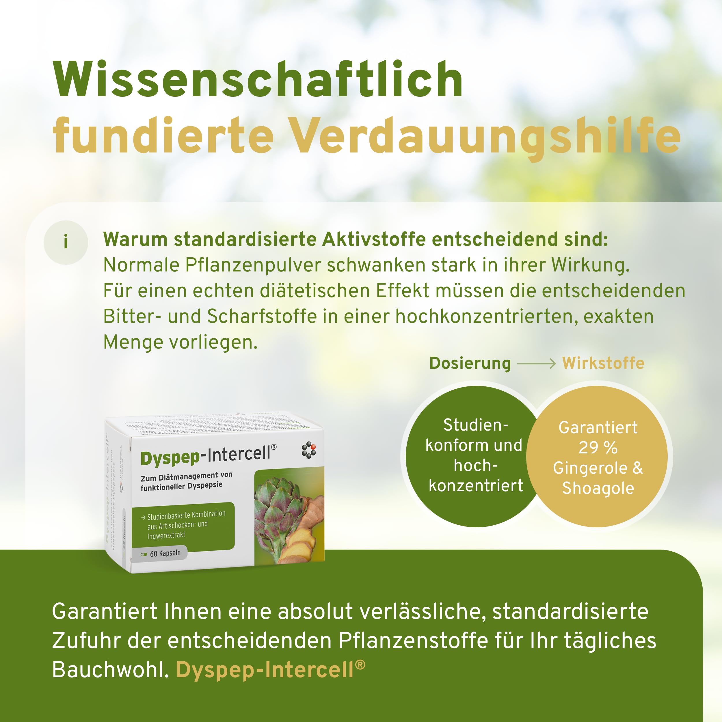 Dyspep-Intercell (60 Kapseln) - Patentierter Artischocke & Ingwer Komplex - Zum Diätmanagement bei funktioneller Dyspepsie (Reizmagen) - Schonende CO2-Extraktion für hochdosierte Bitterstoffe