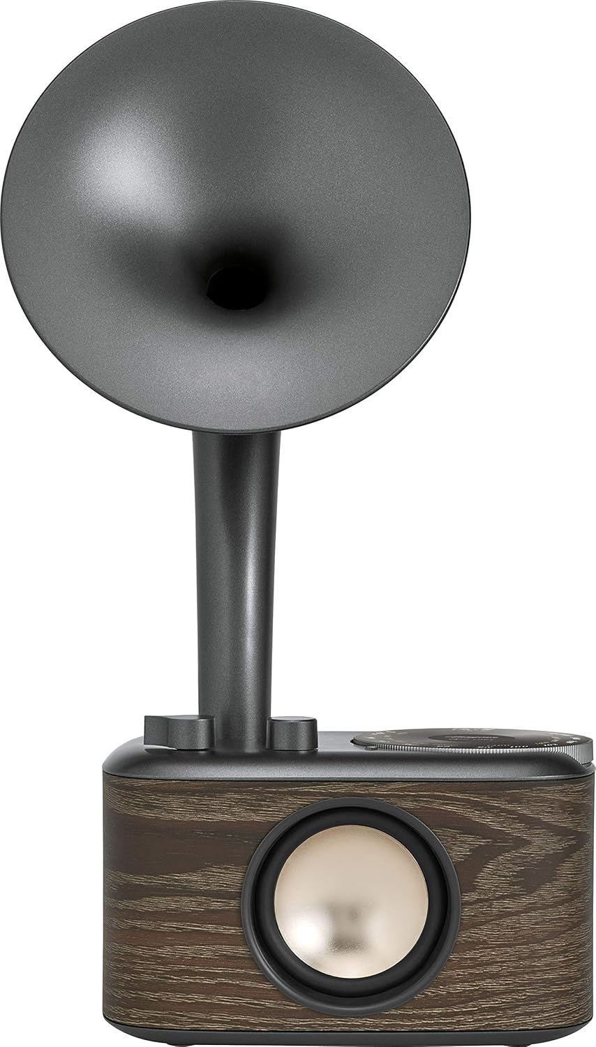 Sangean CP-100 AM / FM Retro Gramophone Radio with Bluetooth Speaker and Aux-Input : Electronics
