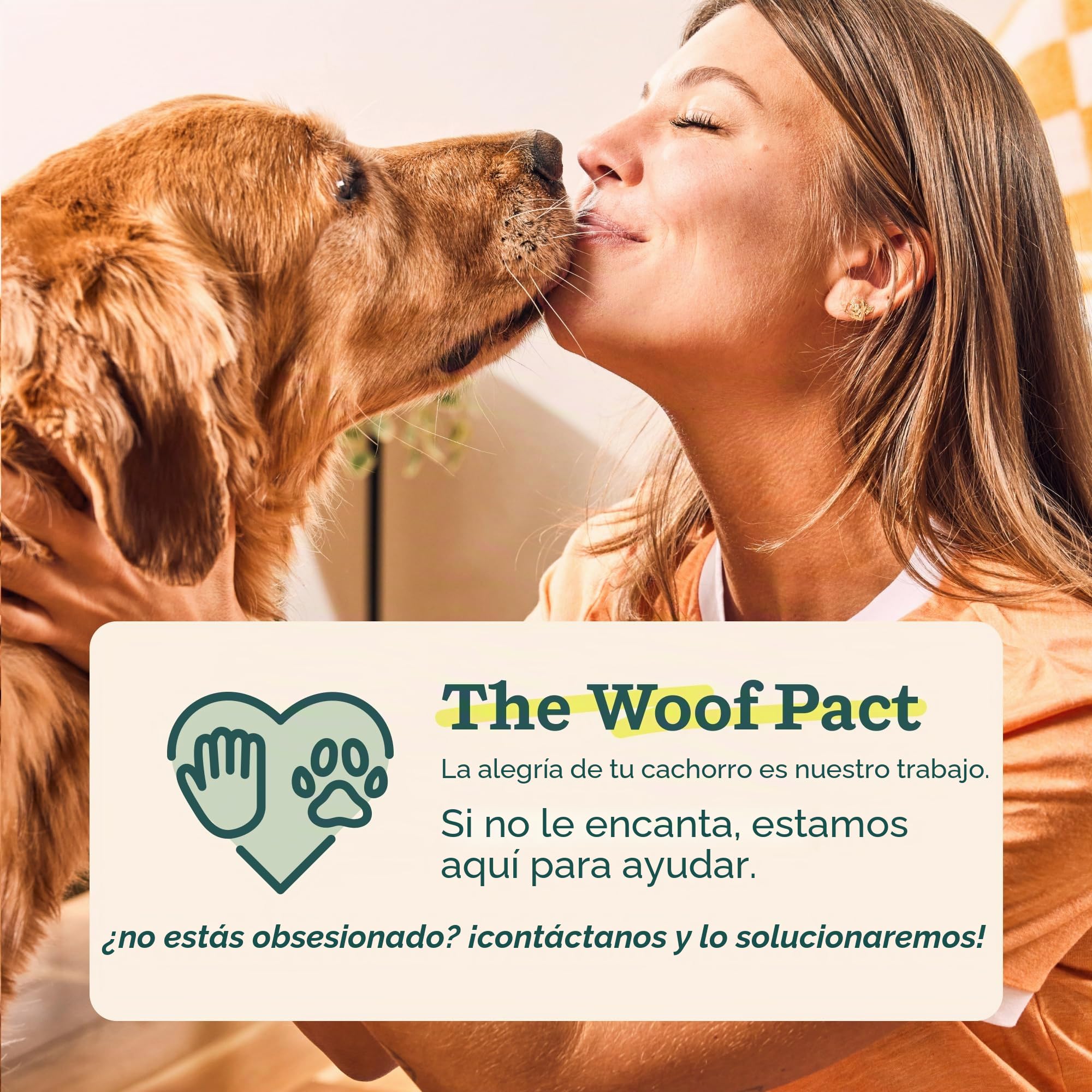 Woof Pupsicle, Juguete de Larga duración para Mantener a tu Cachorro distraído, Seguro para Perros, fácil de Limpiar, Juguetes rellenables para Perros, pequeño de 10 a 25 Libras