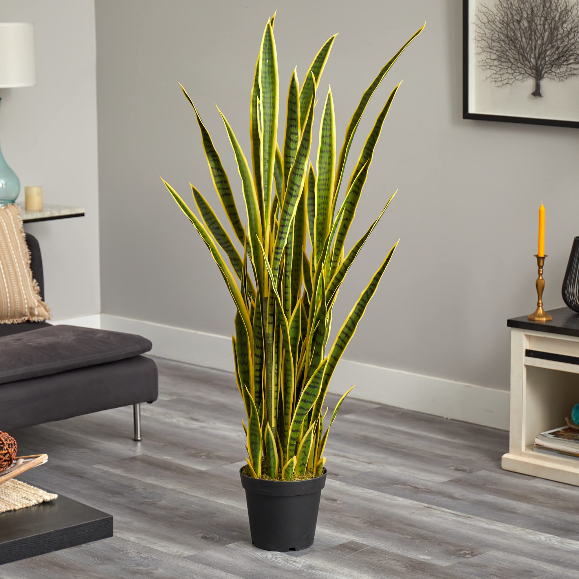 Amazon.com: Nearly Natural 5-ft Artificial Tall Snake Plant Sansevieria,  Yellow Faux Snake Plant for Indoor Home Decor in Black Nursery Pot, 48-in  Large Fake Plant for Office, Living Room, Bedroom, DIY :