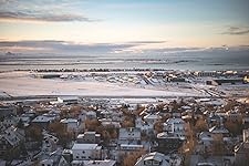 Review Image by Y. Wang Y. Wang