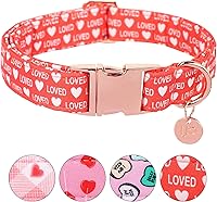 Vista 11 de Collar de perro de algodón de dinosaurio con hebilla de metal, collar de regalo para niñas o niños pequeños, medianos y grandes, lindos collares