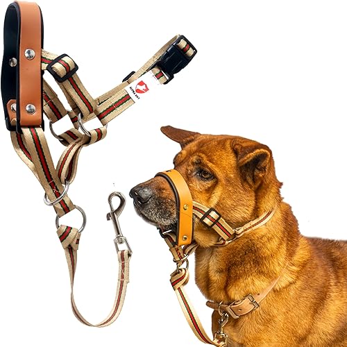 ALPHA BOY Collar para la cabeza de entrenamiento para perros, cómodo y suave para todas las razas, fácil de usar, correa de cuero genuino, arnés de