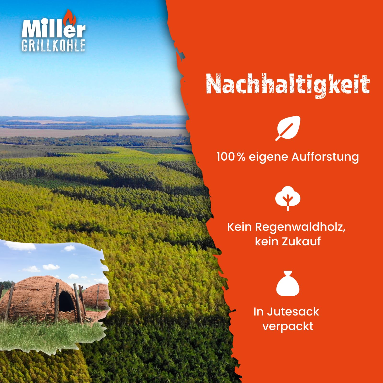 Holzkohle 10 kg – rauchfrei, Lange Glut & hohe Temperatur – 100% Eukalyptus, nachhaltig im Jutesack