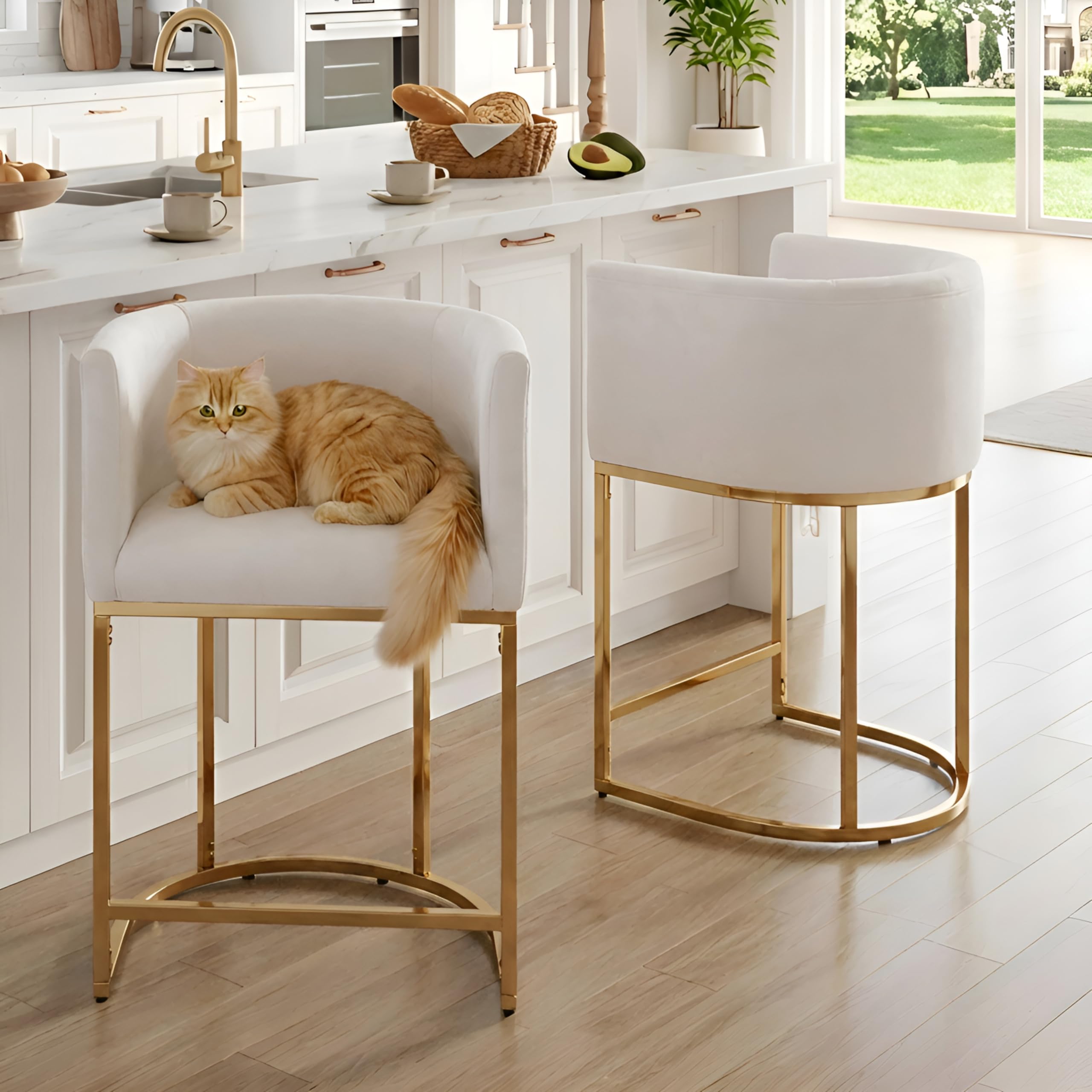 HNY Modern Barrel Counter Height Clearance Bar Stools Set of 2, 24 Inch Velvet Kitchen Barstools with Back for Island, with Gold Metal Tubular Frame,