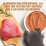 Ver la foto 6