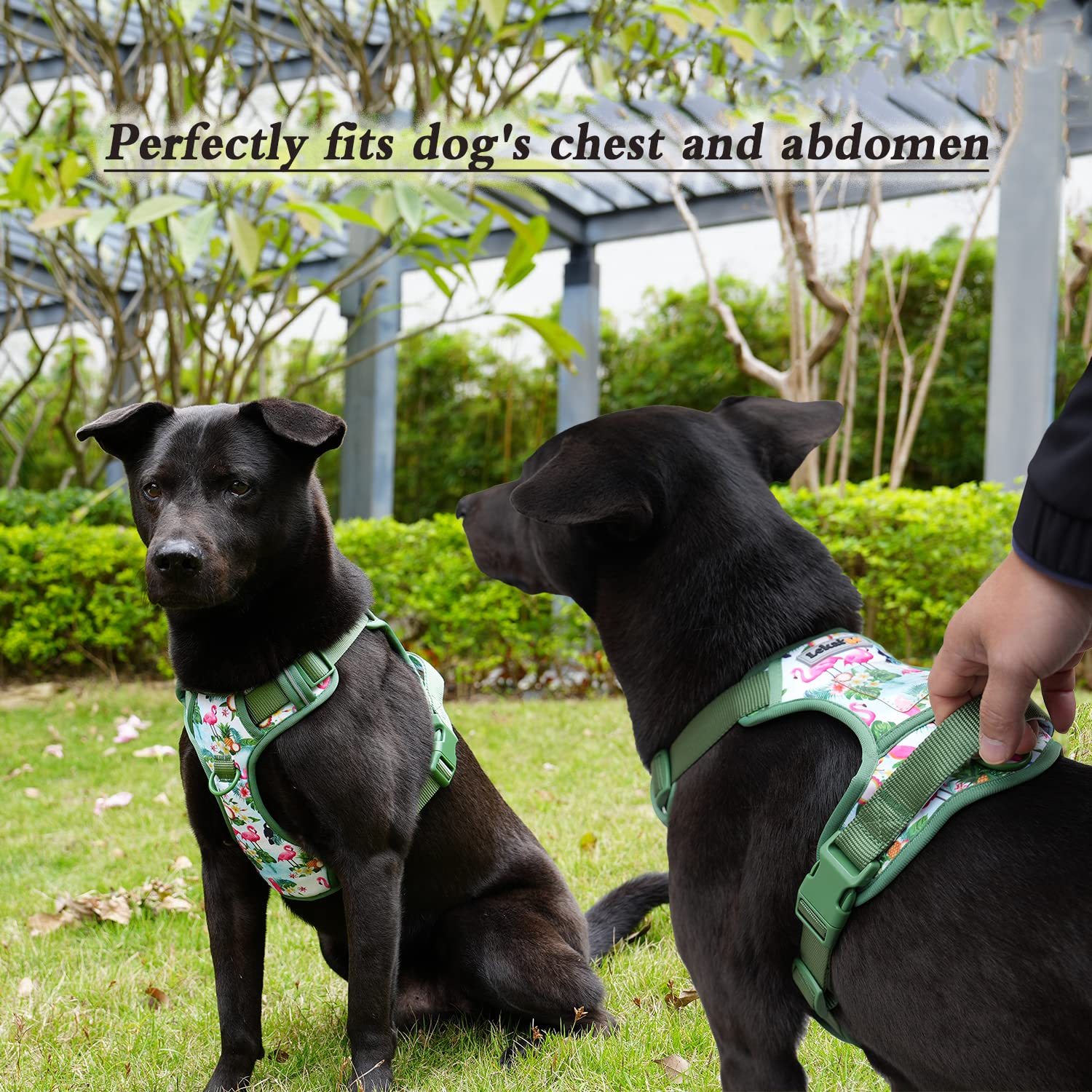 Hundegeschirr, Halsband, 1.5 m, Leine, Kotbeutelhalter-Set, reflektierend, verstellbar, kein Ziehen, Hundeweste mit Sicherheitsverschluss, einfache Kontrolle, für kleine, 4 Stück, XL-Gelb