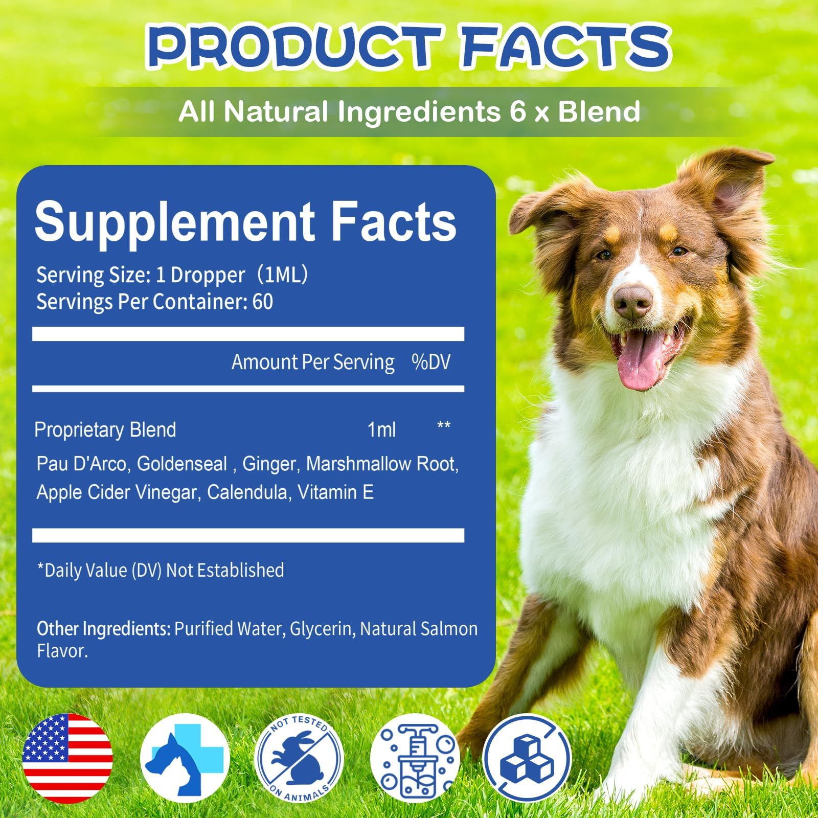 Yeast Infection Treatment for Dog, Natural Dog Yeast Infection Relief for Itchy Skin & Ear - Allergy & Paw Itching, Soothes Irritation & Reduces Inflammation Herbal Dog Supplement Drops - image 7