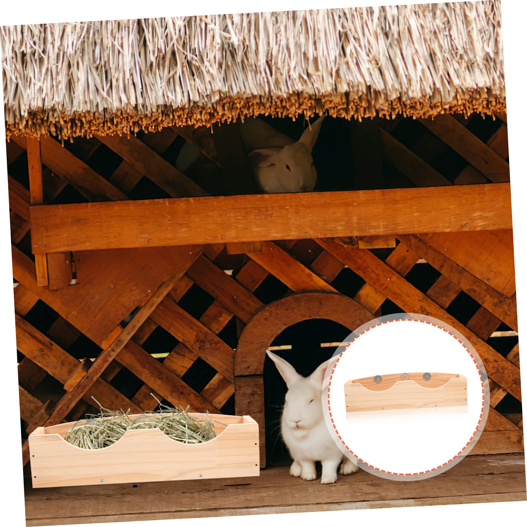 FOMIYES Mangiatoia Per Conigli Alimentatore Per Mangiatoia Per Cavia Criceti e Chinchilla Facile Installare e Resistente Per