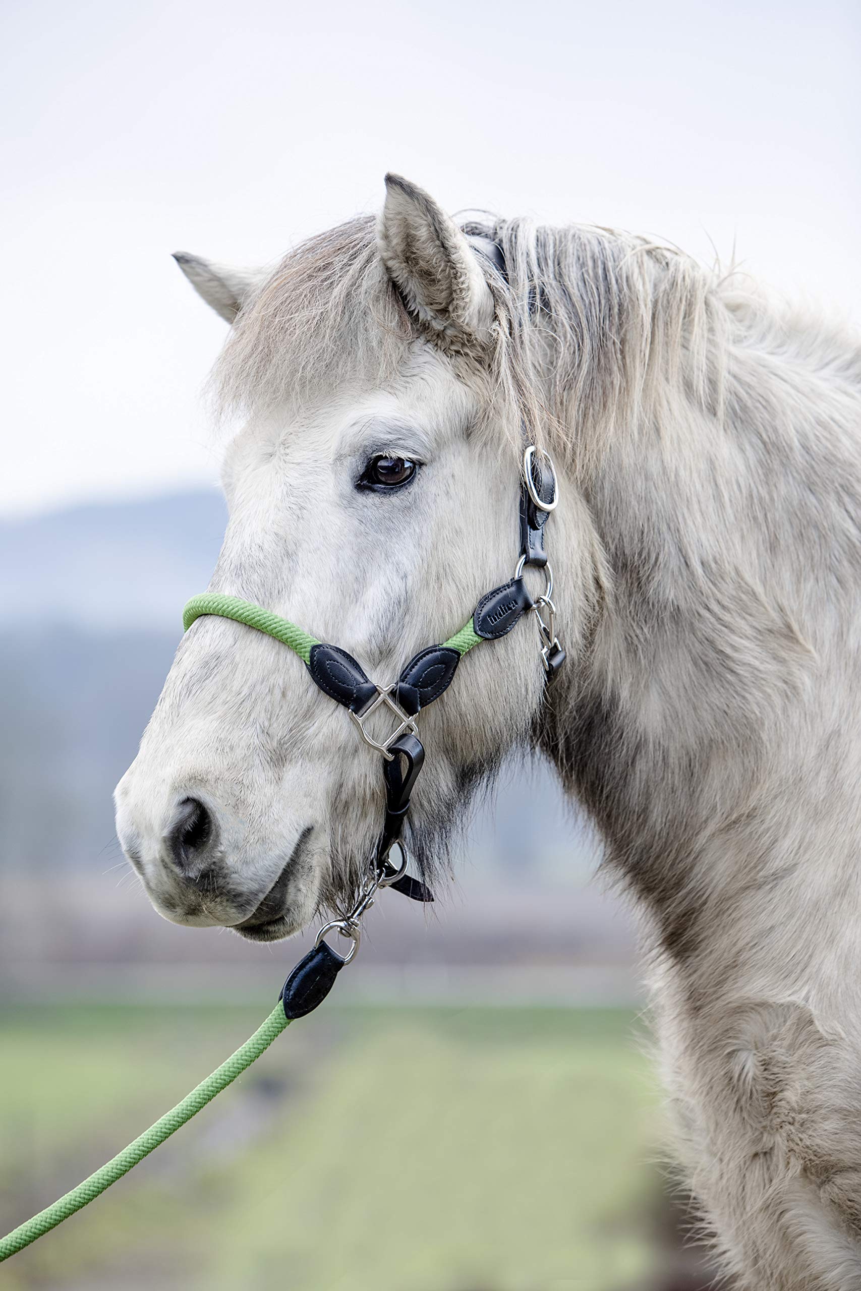 indira Seil-Leder-Halfter pro PP-Echtleder (Pony, Blau 01)