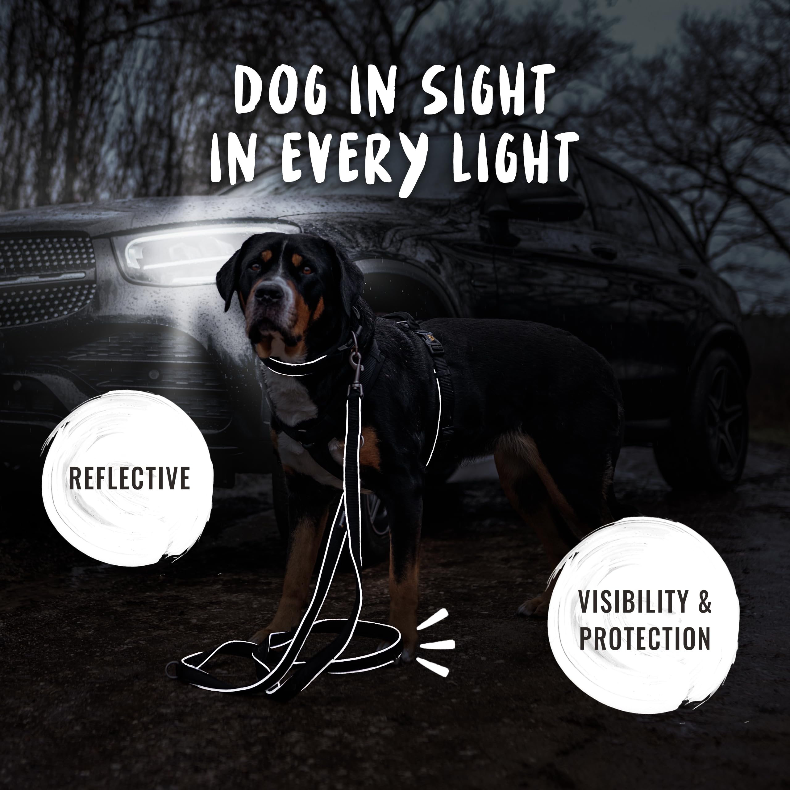 Rudelkönig Guinzaglio addestramento per cani Paola - Lunghezza 2,30m - Guinzaglio per cani regolabile per cani di taglia media & grande in nero