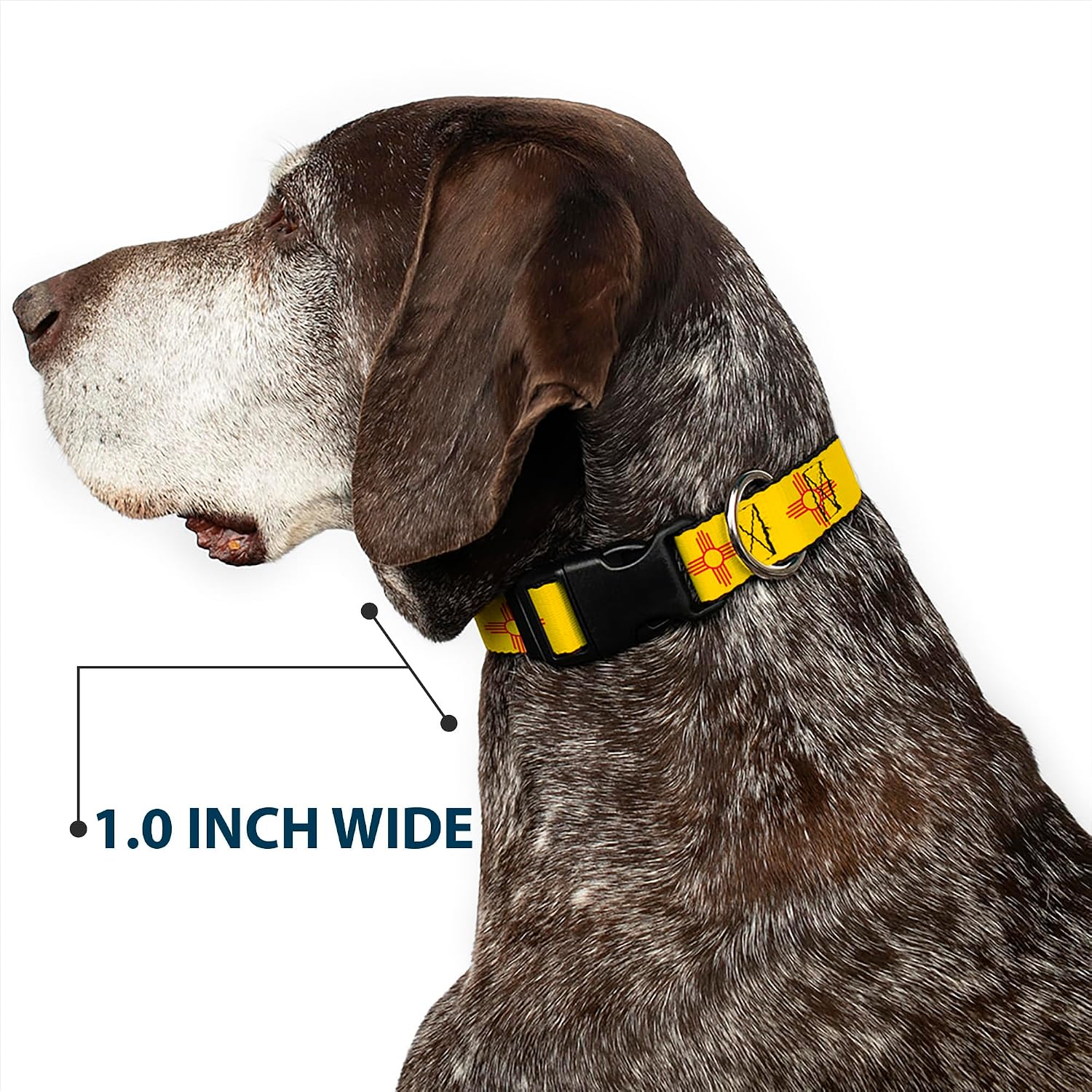 Buckle-Down Dog Collar Plastic Clip New Mexico Flag Yellow Red 16 to 23 Inches 1.5 Inch Wide