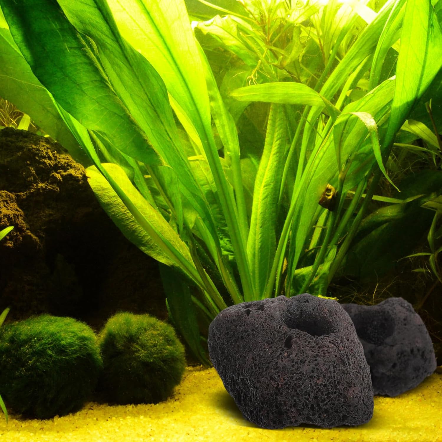 10pcs Volcanic Rock Aquarium Plant Fixed Rings 5-8cm Black Fish Tank Habitat Holders for Aquatic Plant Decoration