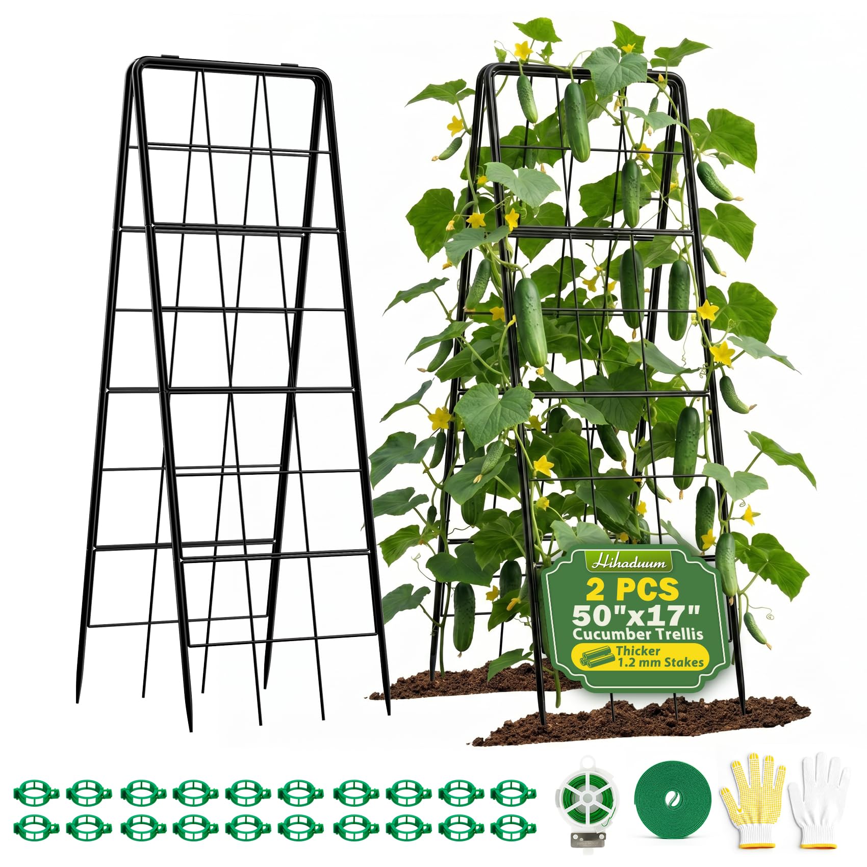 HIHADUUM A Frame Trellis