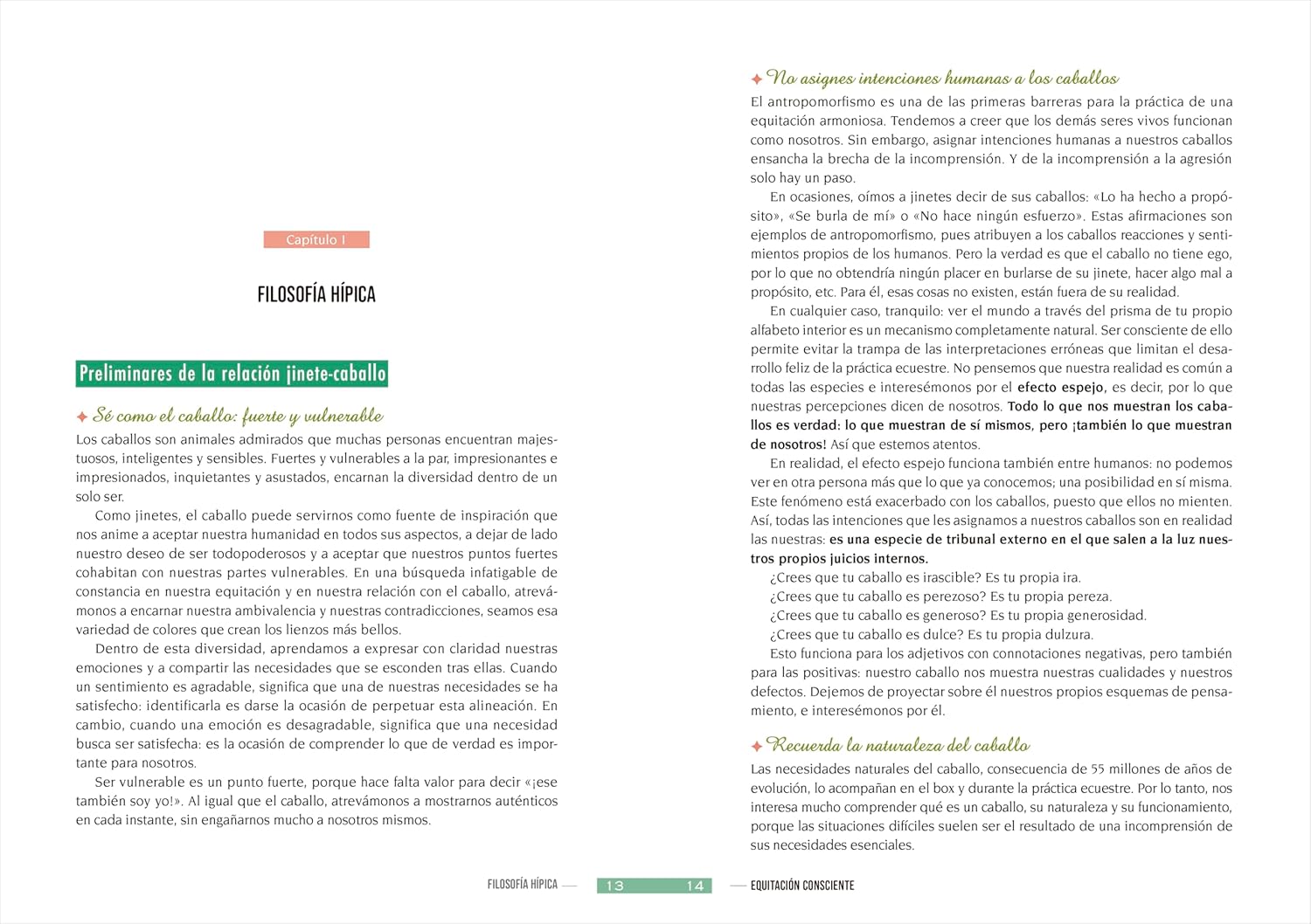 Equitación consciente: Hacia una práctica holística en armonía con el caballo      Paperback – January 14, 2026