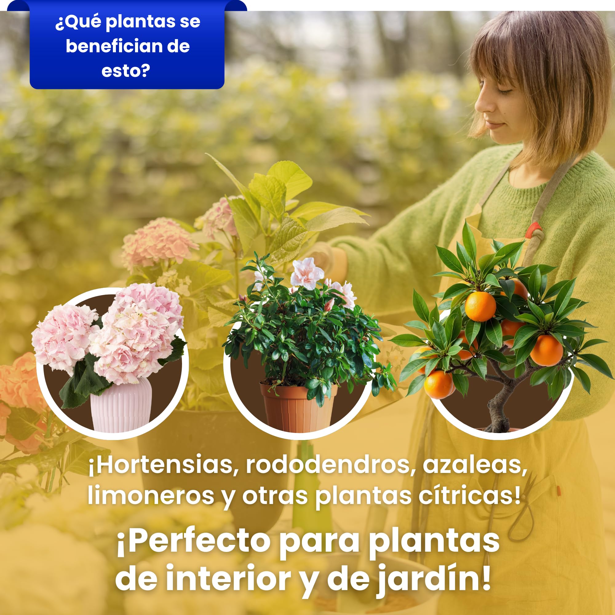 LERAVA Abono cítricos (3,6 kg) - fertilizante natural de altramuces molidos para limonero y naranjo - ideal para mandarino, kumquat y pomelo - mejora crecimiento, vigor y follaje en plantas acidófilas