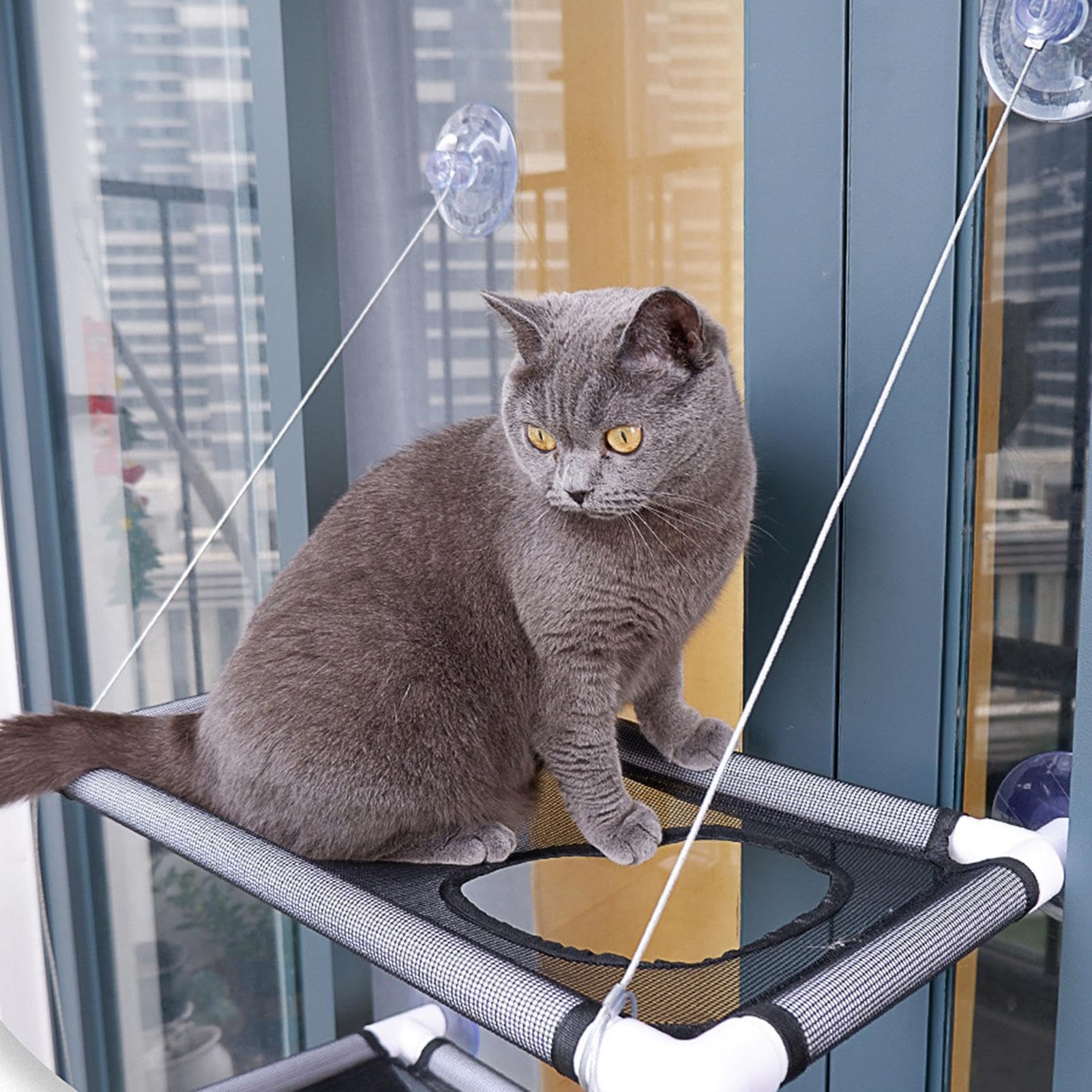 Katzen Fensterbett Saugnapf
