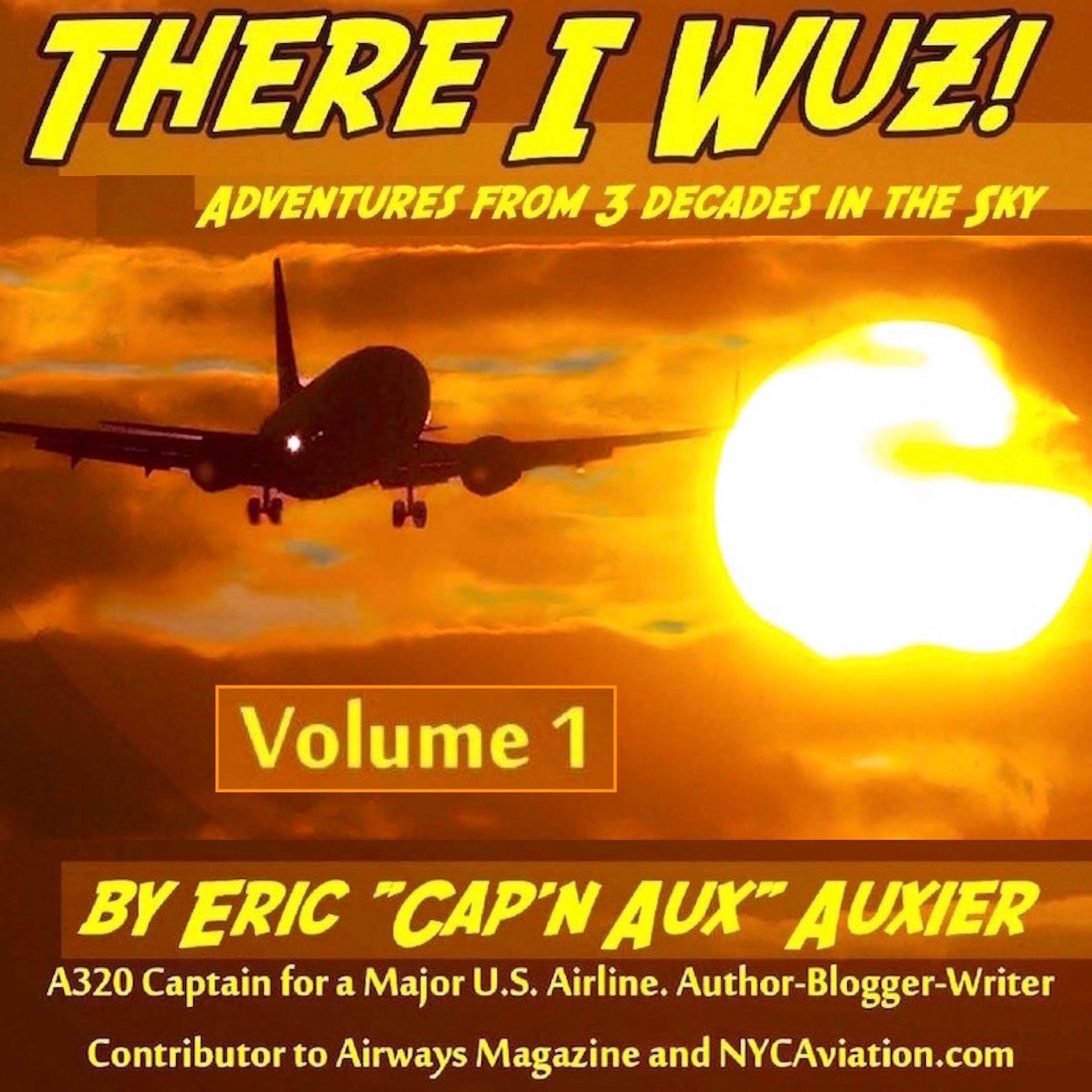 Cover art for There I Wuz!