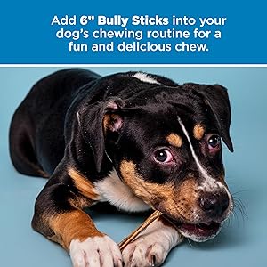 π₯ 10 Best Bully Sticks 5 8149JFrziiL. AC SL300