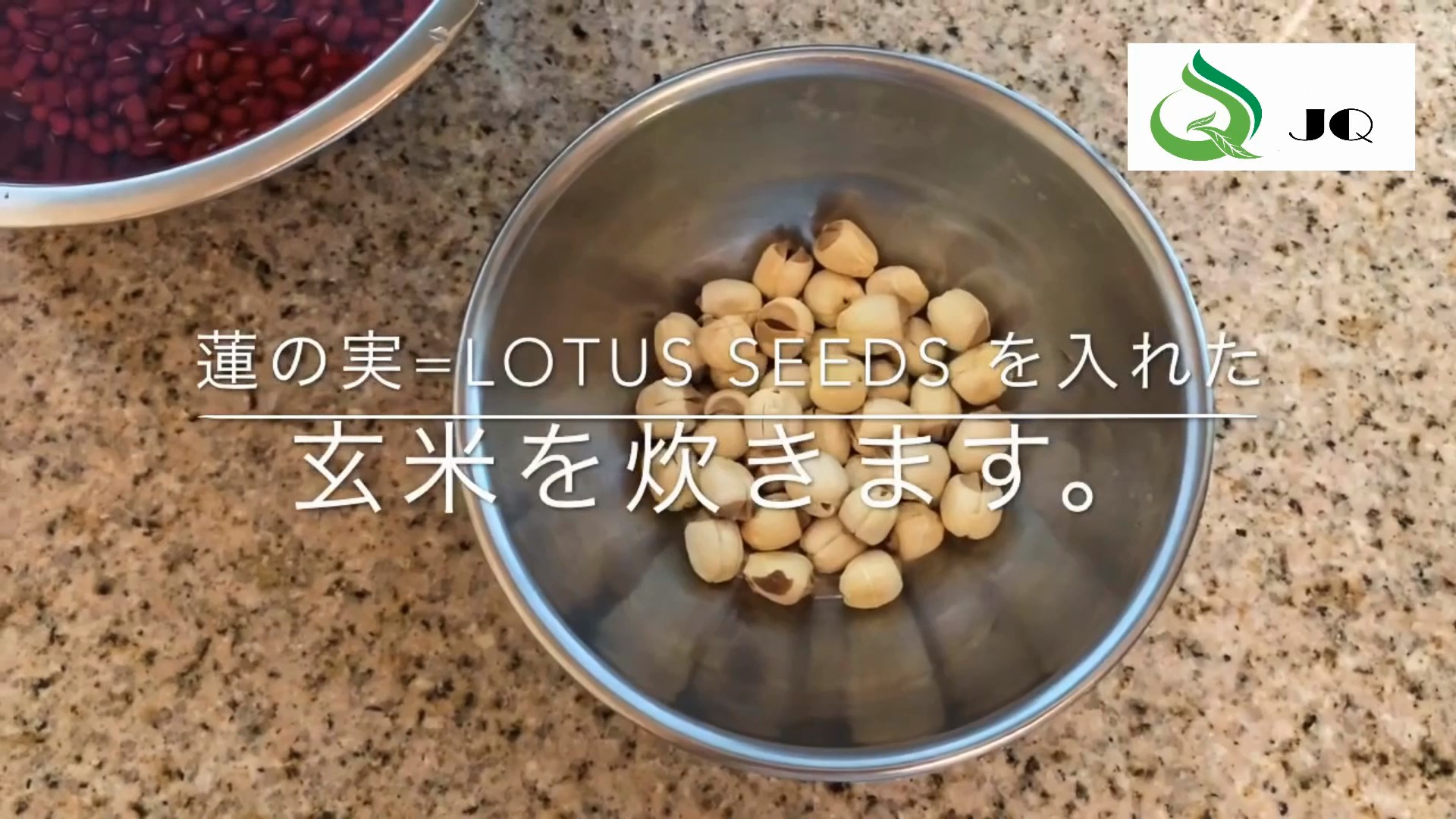 Amazon.co.jp: JQ 蓮の実 ハスの実 莲子 無農薬 乾燥ドライ 食用 500g