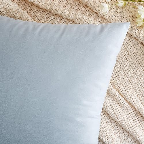 Miniatura 2 de EMEMA Paquete de 2 fundas de almohada de terciopelo decorativas, rectangulares, suaves y sólidas, para sofá, dormitorio, automóvil, 12 x 20