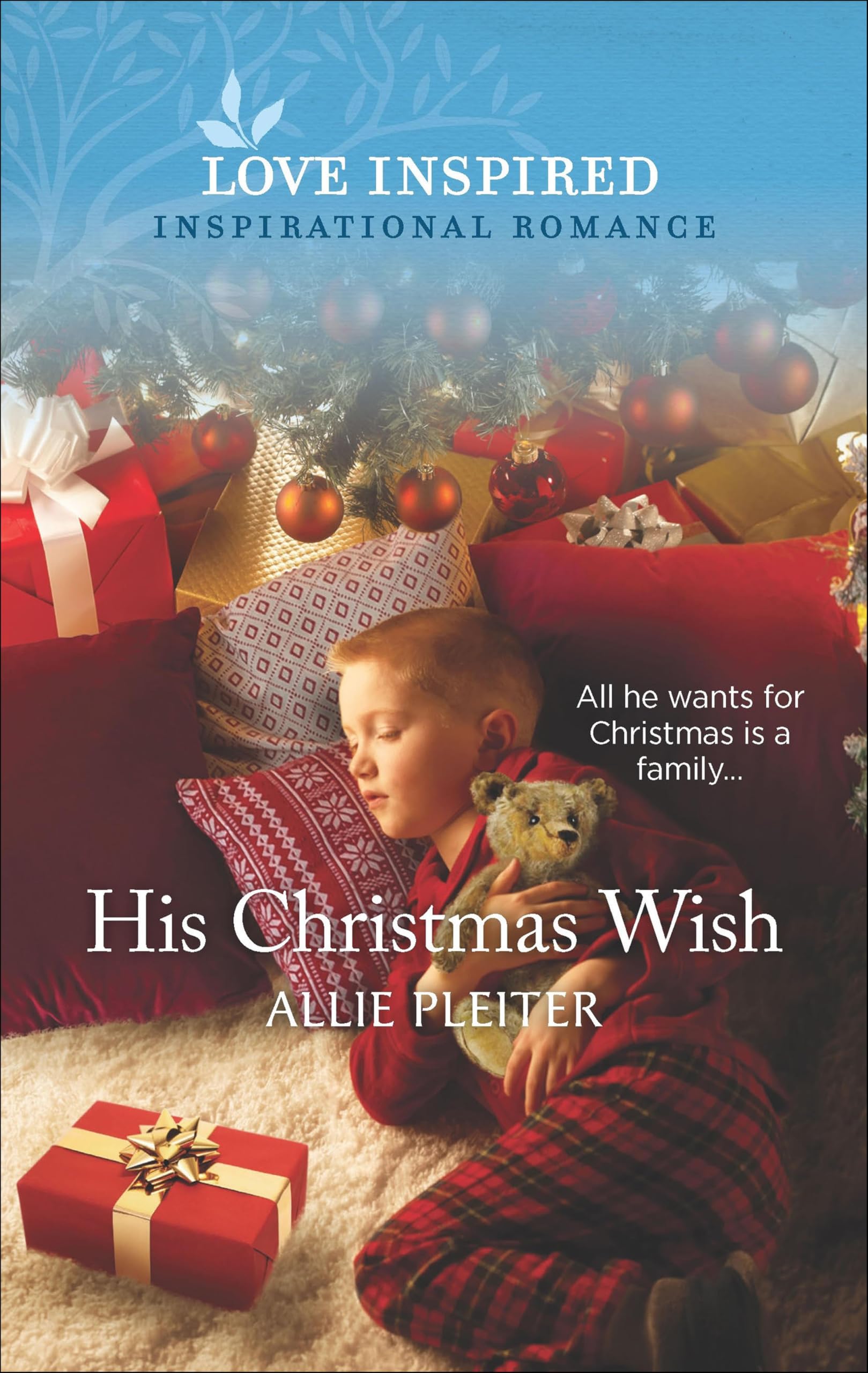 His Christmas Wish (Wander Canyon Book 3)