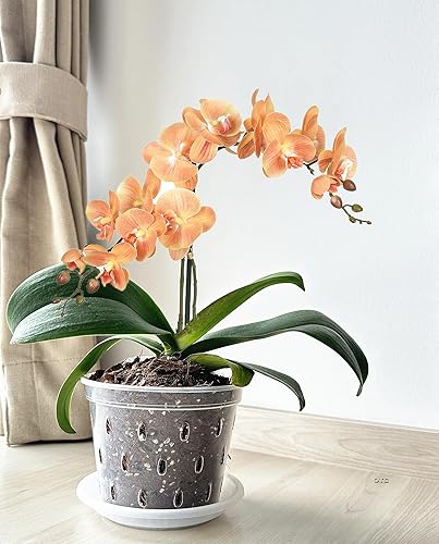 Miniatura 8 de Paquete de 6 macetas de orquídeas transparentes, macetas de plástico de 4.8 pulgadas, 5.6 pulgadas y 7 pulgadas con agujeros y platillos, macetas de
