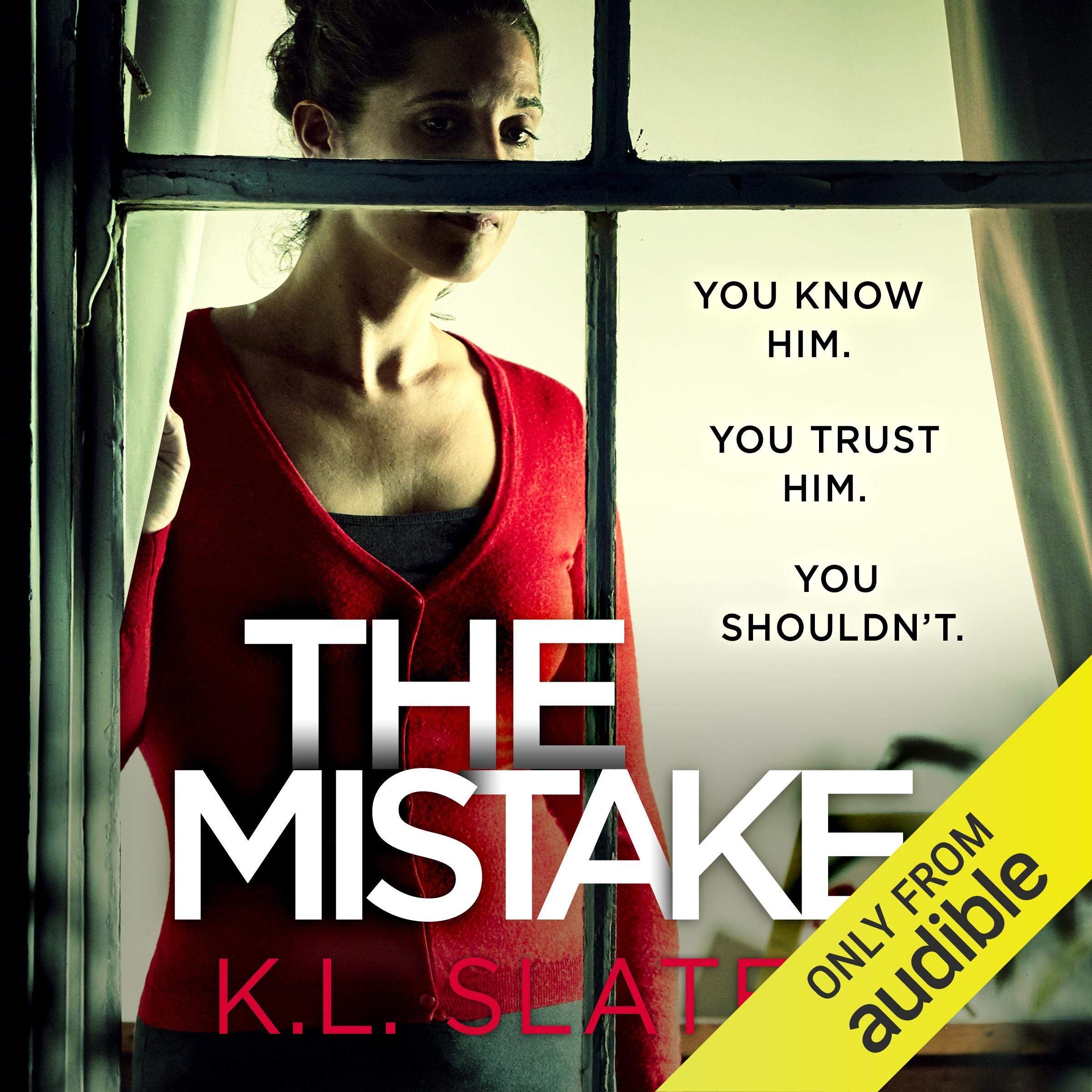 Cover art for The Mistake