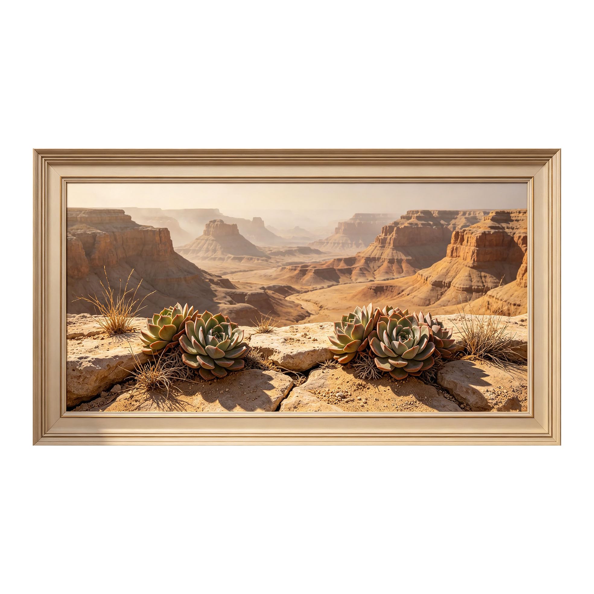Yzpallescene 3D Framed Wall Art 50cm×100cm Desert Canyon Succulent Panoramic Window View Large Size SelfAdhesive Removable Wall Decor Prints Artwork for Living Room Bedroom Office
