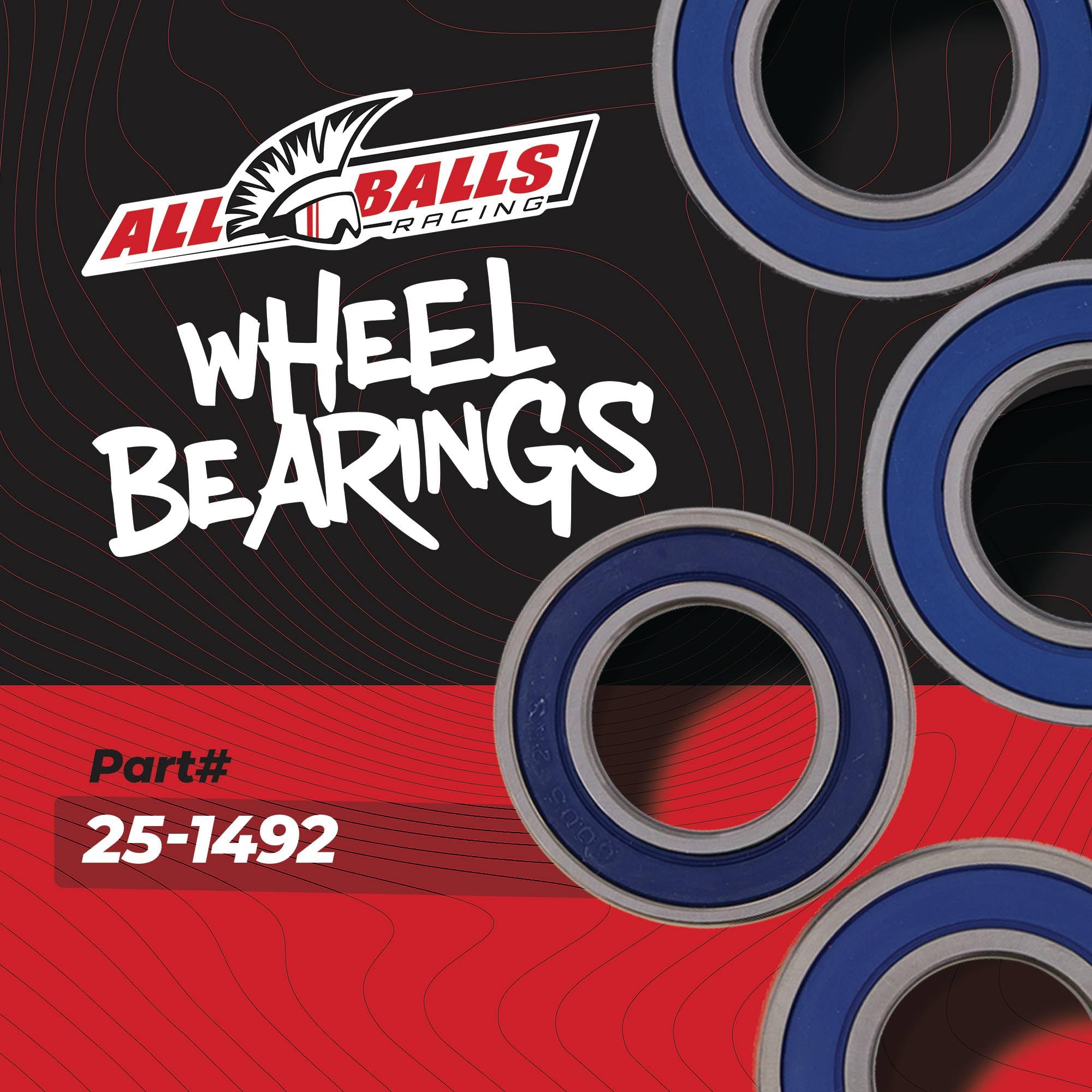 ALL BALLS - 17163 : Kit Rodamientos De Rueda 25-1492