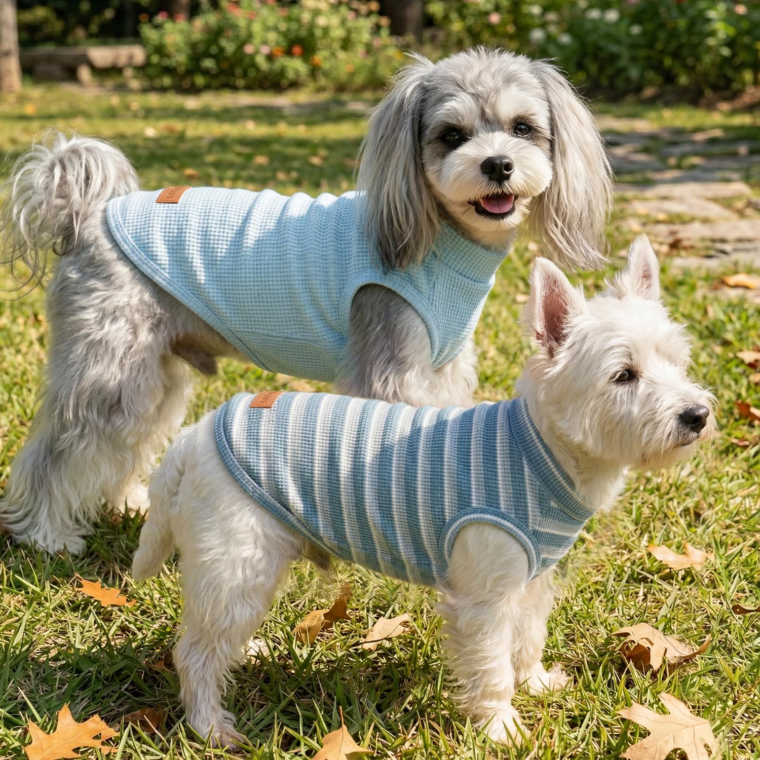 3Pack Dog Shirts Lightweight Waffle Dog Shirt for Small Dogs Sleeveless Dog Shirt for Small Medium Boy Girl Dogs Cozy & Breathable Pet Vest - 5