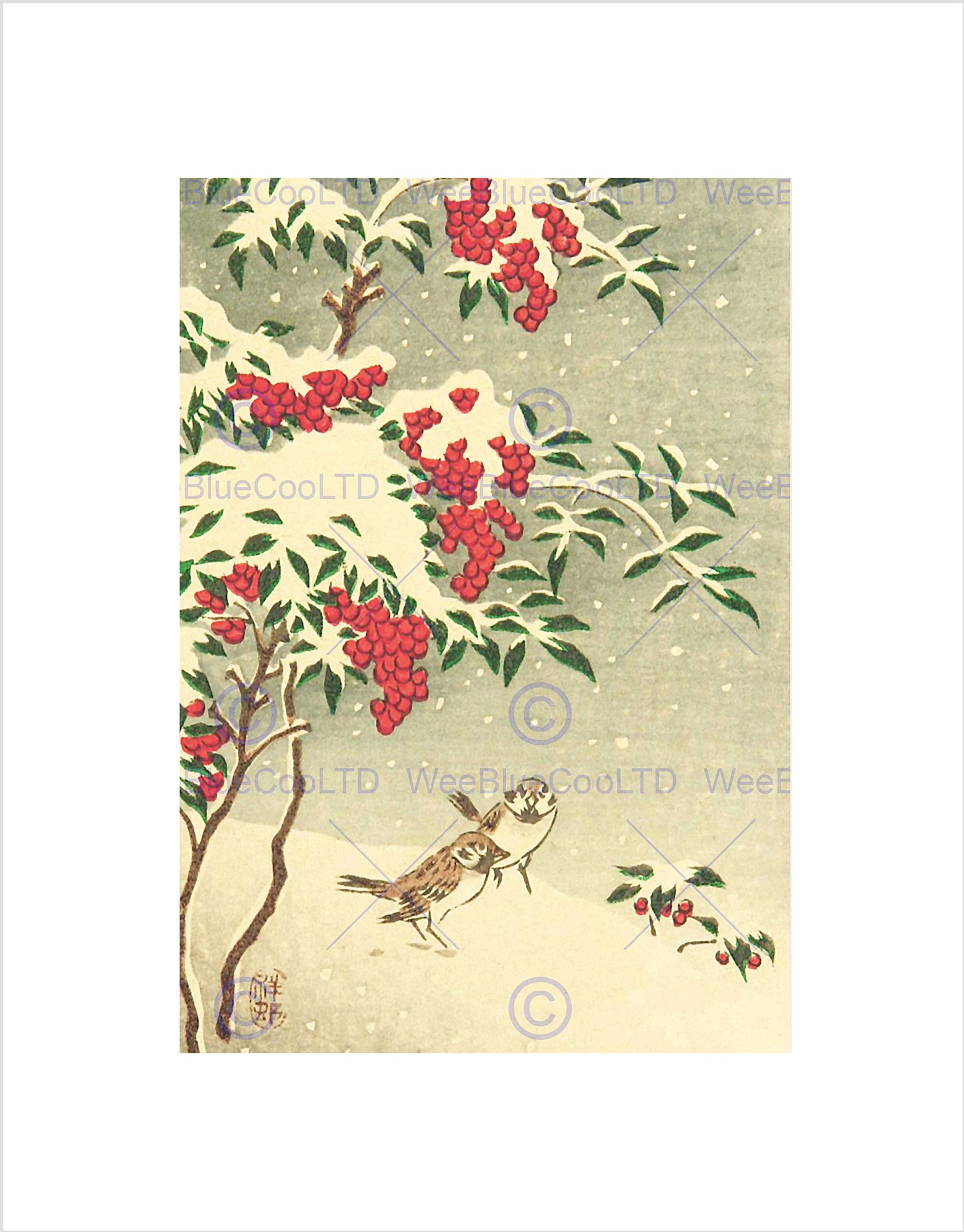 Wee Blue Coo Nature Japan Sparrow Snow Ohara Koson Picture Wall Art Print