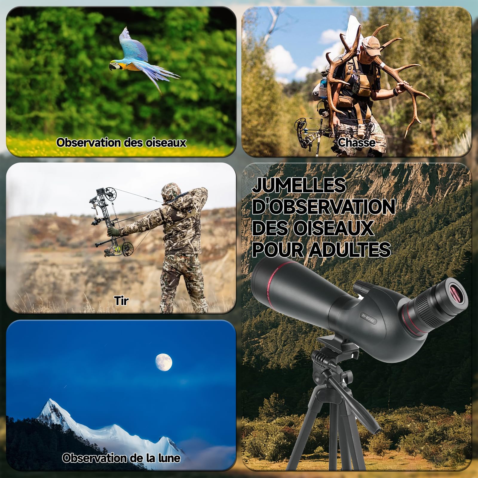 Longue-Vue 20-60x82mm HD - Optique BAK4 FMC, IPX7 Étanche, Trépied + Adaptateur Téléphone - Observation Oiseaux Chasse Astronomie