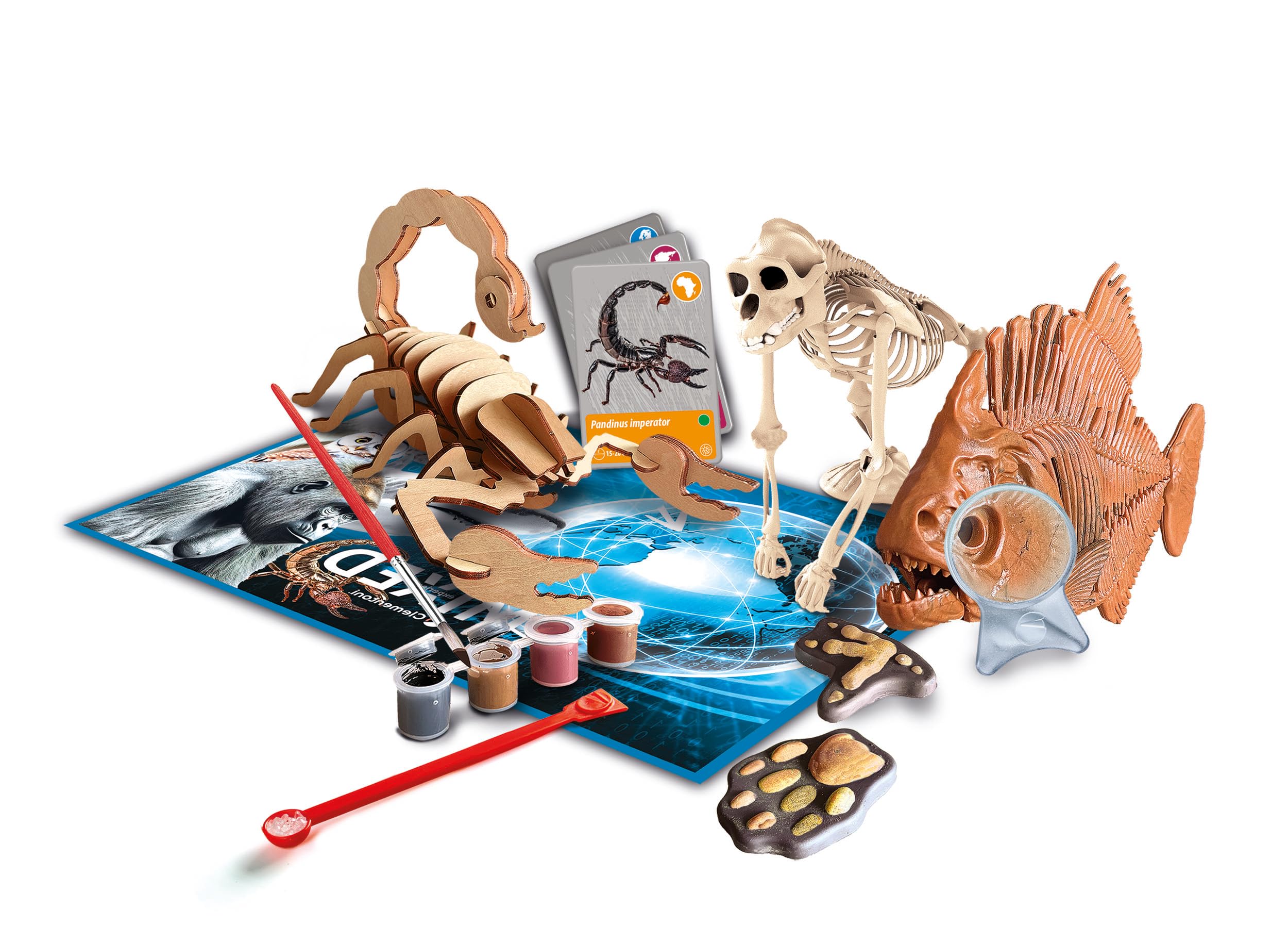 Clementoni - Coffret Scientifique : Les Animaux dès 8 Ans - Expérience à réaliser - Inclus Moules + Peinture + Figurines + 30 Cartes et Un Casque VR - Jeux Éducatif - Fabriqué en Italie