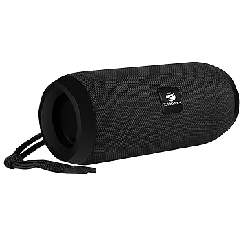 Zebronics Zeb-Action Portable BT Speaker with TWS Function, USB,mSD, AUX, FM, Mic & Fabric Finish(Black)
