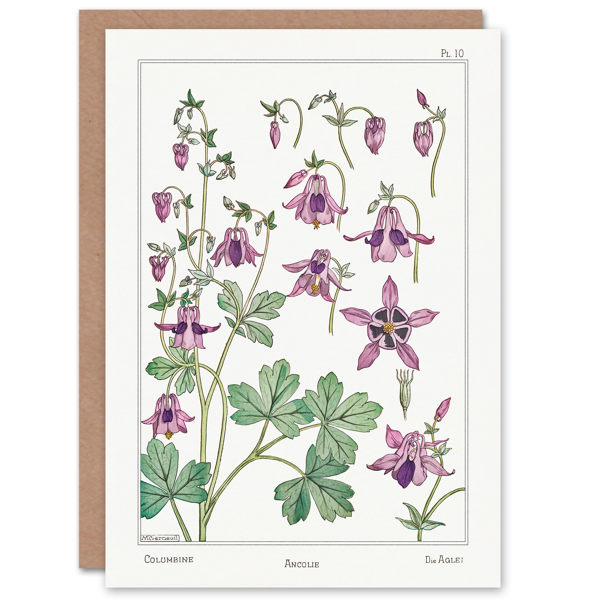 Artery8 Maurice Pillard Verneuil Art Card Columbine Aquilegia Flower