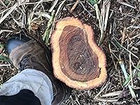 Review Image by aTypicalEngineer808 aTypicalEngineer808