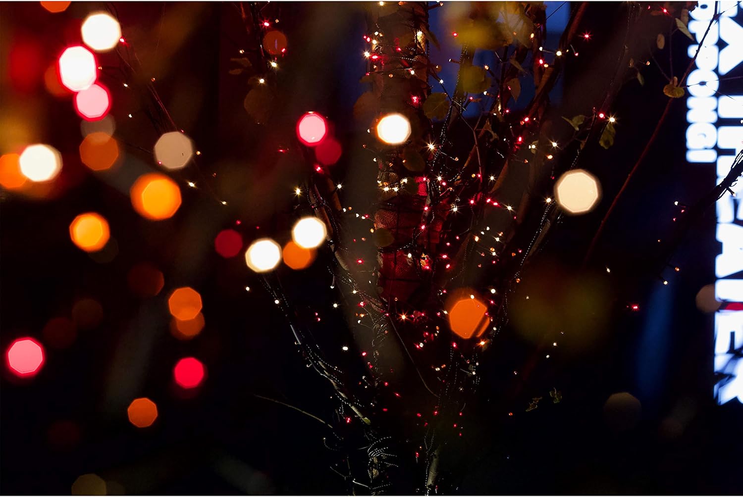 Halloween Orange Purple Lights String Outdoor 100 Mini Waterproof Incandescent Indoor Decoration Plug in 23 Feet Used for Patio Party Festive Courtyard Home (1, Purple)