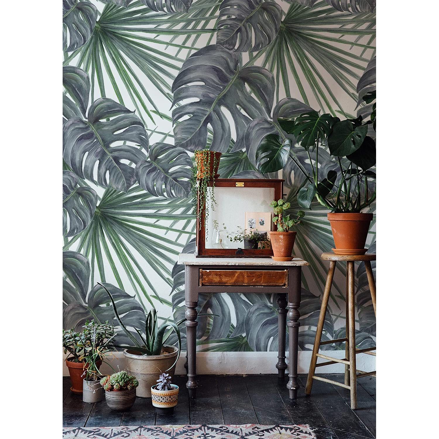 Papiers peints muraux les plantes pour chambre et cuisine Coloray meuble déco