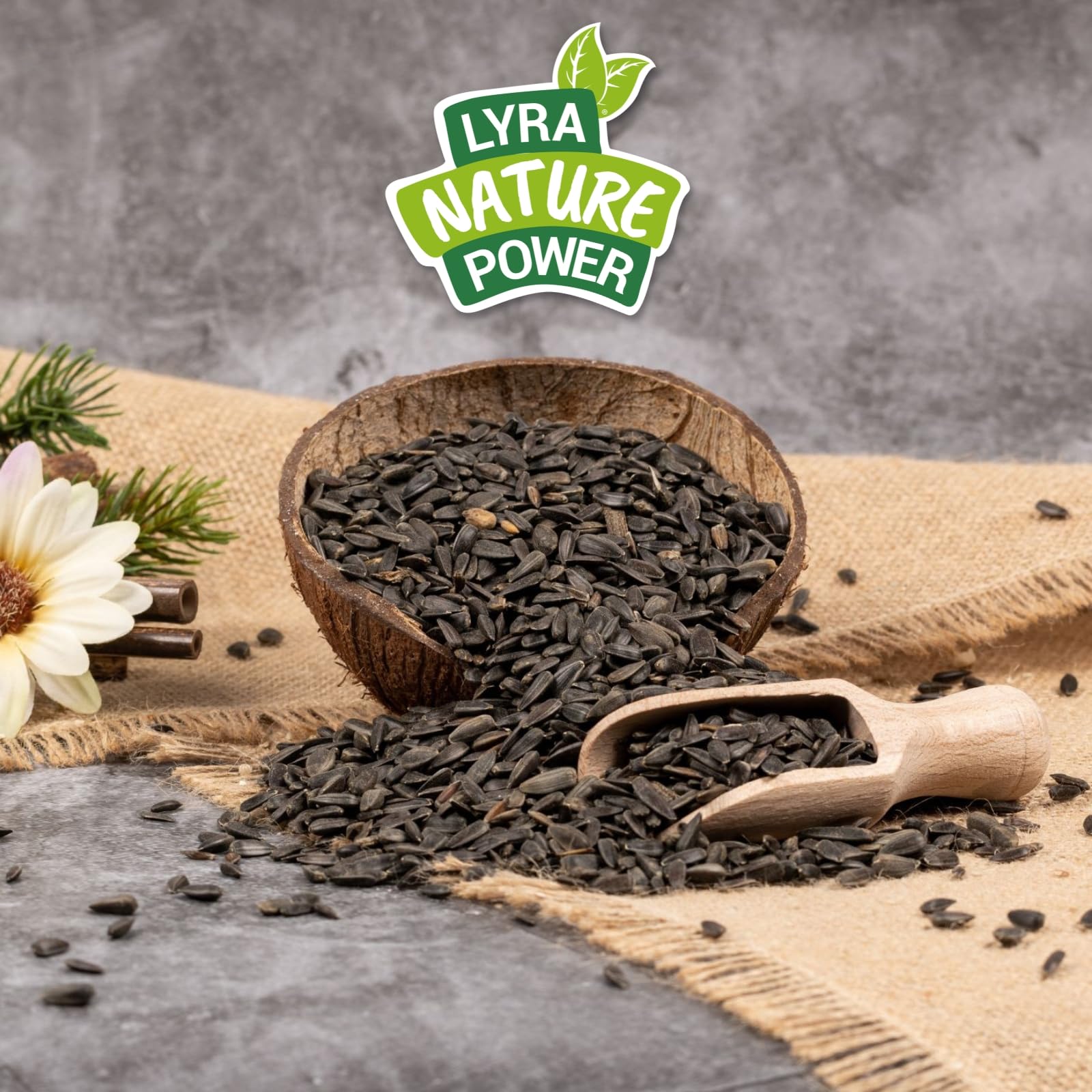 Lyra Pet® | 25 kg Sonnenblumenkerne Schwarz | Vogelfutter für das Ganze Jahr | Premium Wildvogelfutter | Idealer Energiespender für Sommer und Winter | Ölhaltiges Vogelstreufutter für Wildvögel